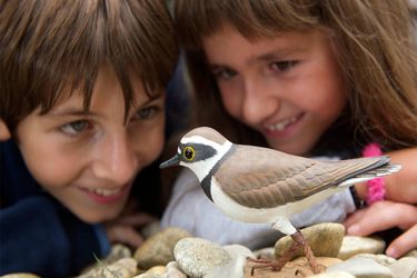 Zwei Kinder beobachten einen Vogel