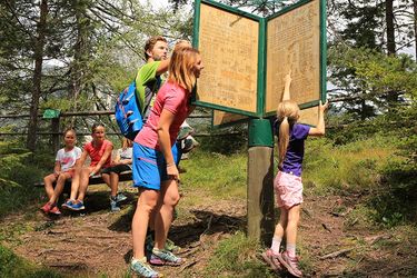 Familie auf Spurensuche im sommerlichen Wald